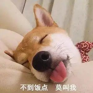  每日一笑生为吃货,我很抱歉
