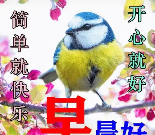  2023年2月26日大家早上好,最漂亮早上好动态表情图片大全