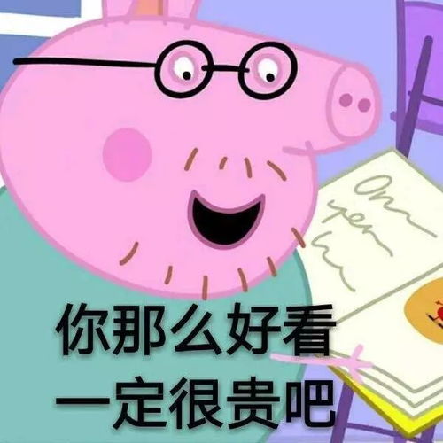 微信斗图表情包图片小猪