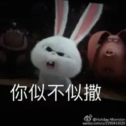 胖墩儿视频直播全集胖墩儿资料大全yy官方 胖墩儿视频直播全集胖墩儿资料大全yy官方