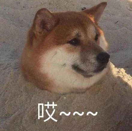  阜阳人今年咋送礼这件事现在知道还不晚