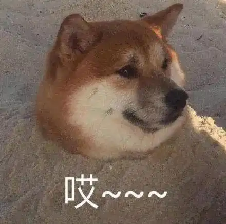  阜阳人今年咋送礼这件事现在知道还不晚