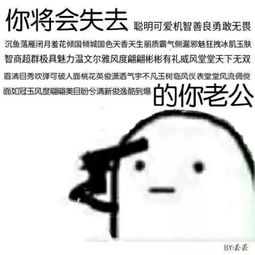  文字表情包,你将失去一个的老公