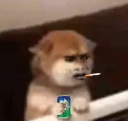  苹果id密码忘了怎么改