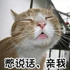  小猫表情包大全