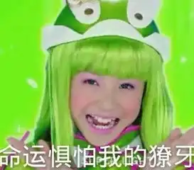  舞法天女恶搞表情包