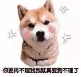  熊猫头表情包来袭别人都是用香奈儿包宝格丽包,而我用表情包