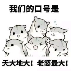 19视频直播全集19资料大全yy官方