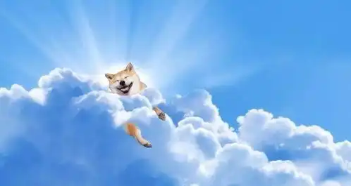  日本柴犬荡秋千竟然荡上了天空