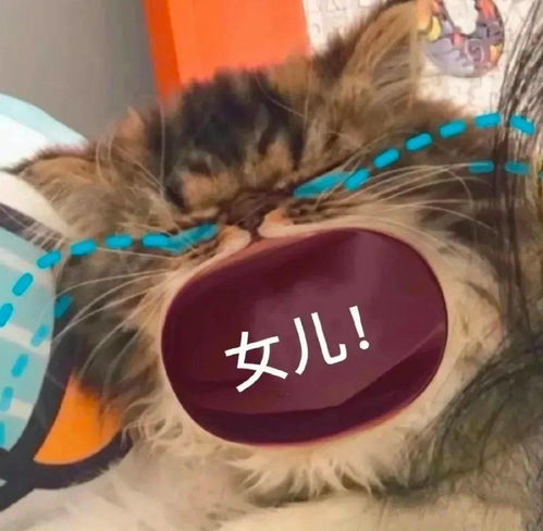  点开和爸妈的聊天记录,我发现......