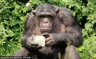  高温补贴调查一些地方标准多年不变