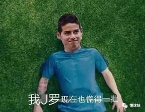 慌的表情包冰岛