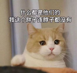  你以为雨和凉要结束了郑州本月还有六场雨,总降水量达150200毫米,还有这些消息