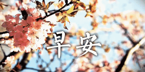  最好看早上好鲜花表情动态图早晨鲜花图片问候