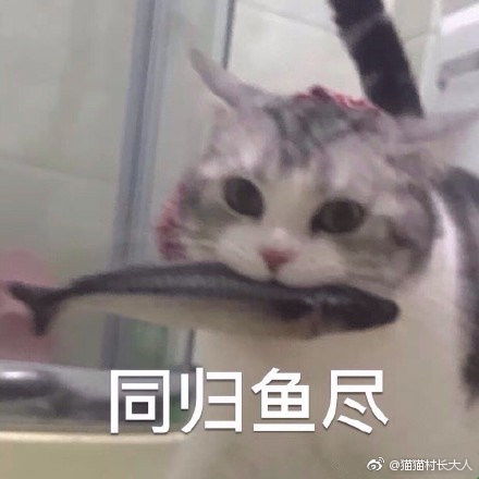  今日份水贴8.6