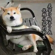 幽默图片搞笑段子猫与狗你选哪一个 幽默图片搞笑段子猫与狗你选哪一个