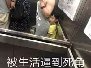  周杰伦歌单鄙视链三代人的青春循环