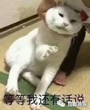  一激动忘了自己的身份绍兴大妈生擒偷酒贼,民警一查大妈也是小偷