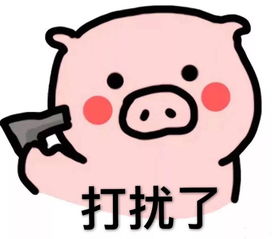  在被垃圾逼疯的第五天,我定了去欧洲的机票
