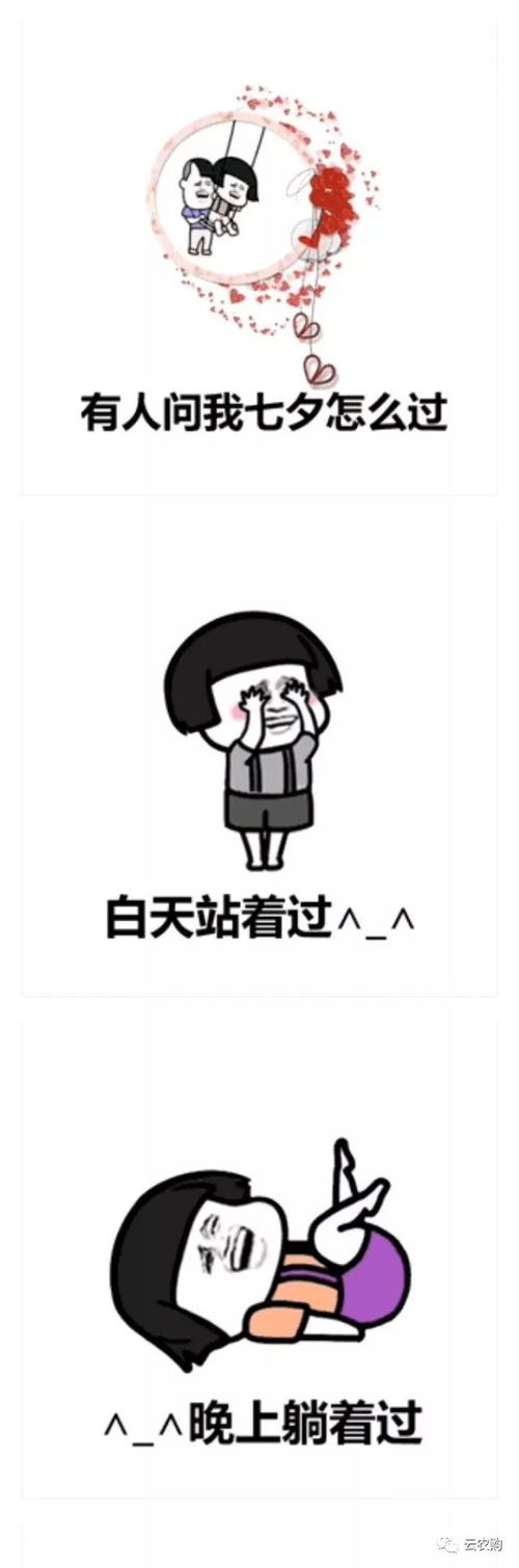  有人问七夕情人节怎么过可用表情包这样答复他