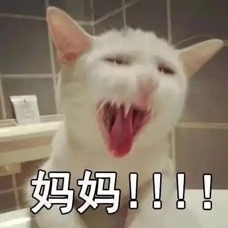  快把我妈带走