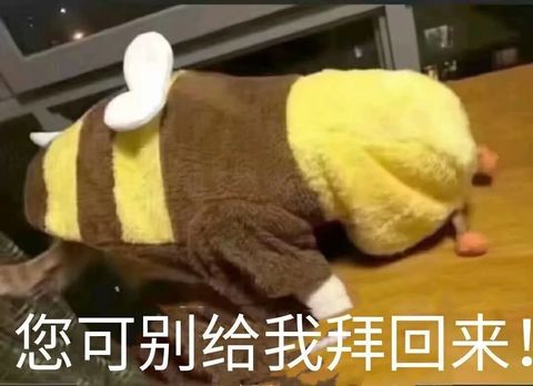  葱葱饿了