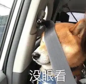  哈哈丨出门旅游有一个不会拍照的男友,是种什么体验
