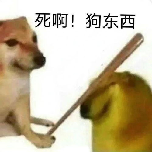  贱兮兮柴犬表情包