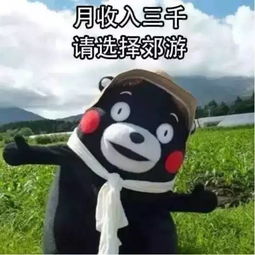  紧急通知洛阳人你的清明节假期要泡汤了......