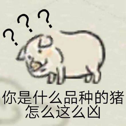  图集第六期江南百景图表情包江南百景图严大人表情包