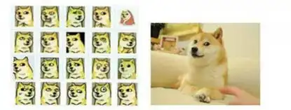  高能99的人不知道的表情包原型