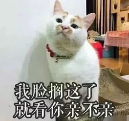  男生必备表情包愿天堂没有女人