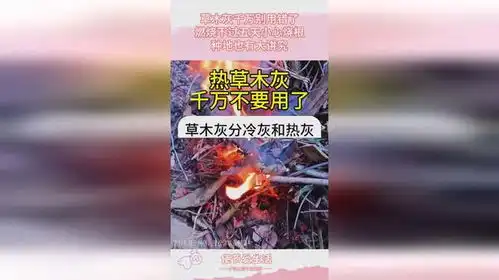  草木灰千万别用错了,燃烧不过五天小心烧根,种地也有大讲究