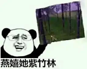 暴走歌词表情包