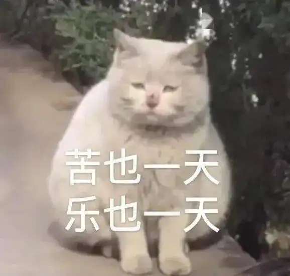  抖音最新套路表情包