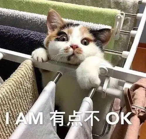  让男友指定穿一件衣服...姐妹们分享的截图xswl