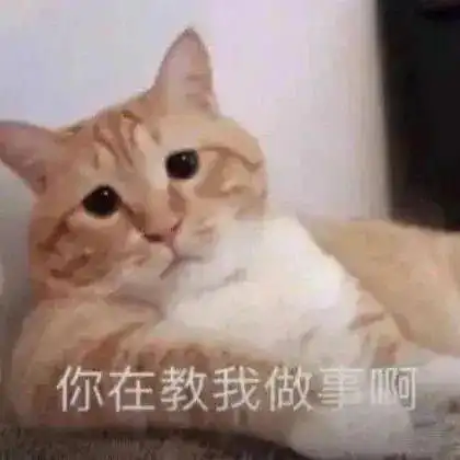  你查我我还查你呢