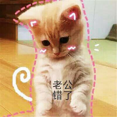  表情包软萌猫咪撒娇卖萌系列软妹必备