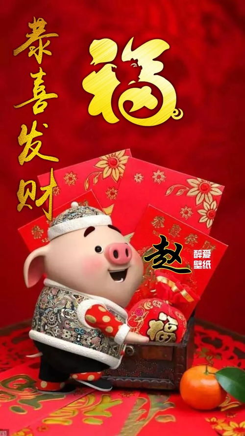 猪猪拜年,恭喜发财,招财进宝50张姓氏壁纸美美美