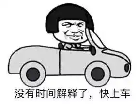  诸暨高速上狂飙到208码,驾驶员解释原因,他会被吊销驾照吗