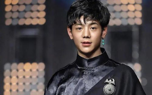  才红两个多月,丁真就要凉了央媒严厉批评一看就是老烟民