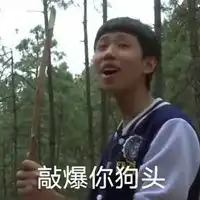  王竟泽表情包