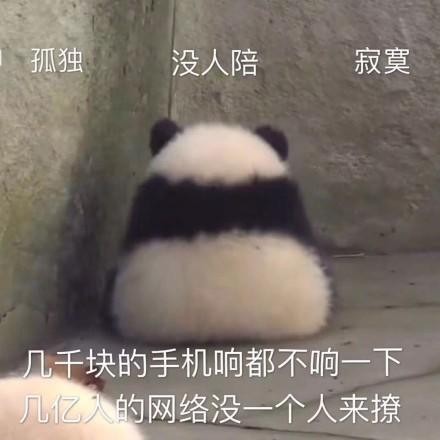  开心笑话老婆做好饭,吃的正欢,不知道哪里来的小石子把我