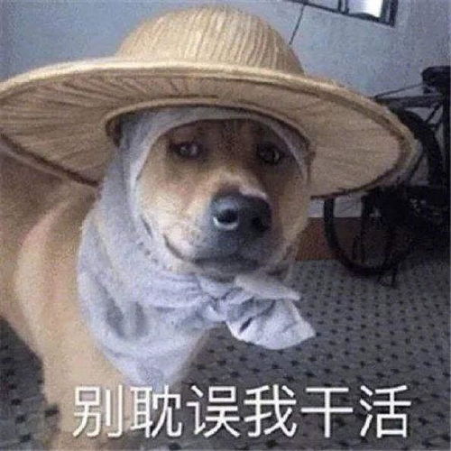  有没有跟我一样不喜欢过于营销的东西