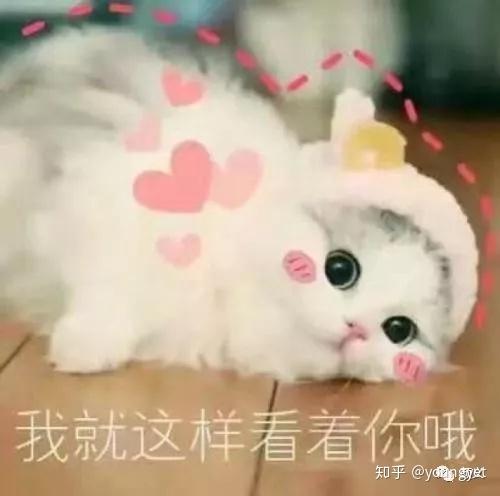  渣男谢霆锋凭啥能撩到张柏芝,让王菲吃醋