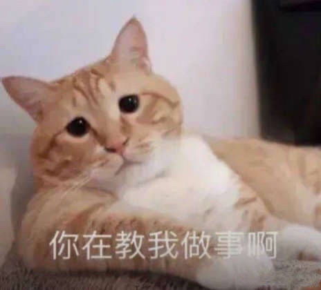  黑大无聊时候看滴