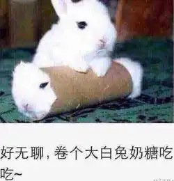 兔子吞脑袋表情包一套大