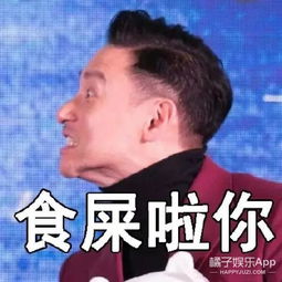  张学友和金馆长都认证了自己的表情包,三巨头就差一个姚明啦