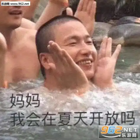  想鸽鸽子表情包图片妈妈我会在夏天开放吗表情包下载乐游网游戏下载