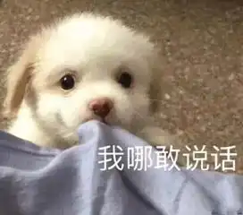  每日表情丨撒娇娇